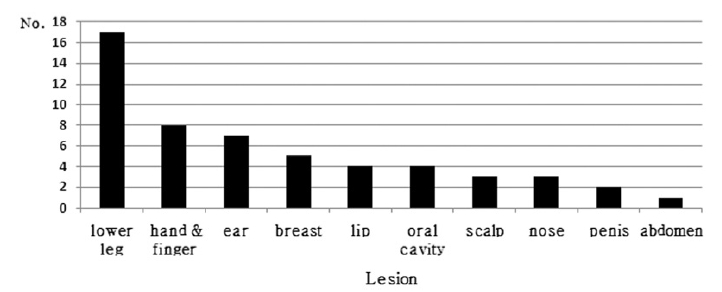 The number of cases performed leech therapy after surgery classified according to region of adaptation