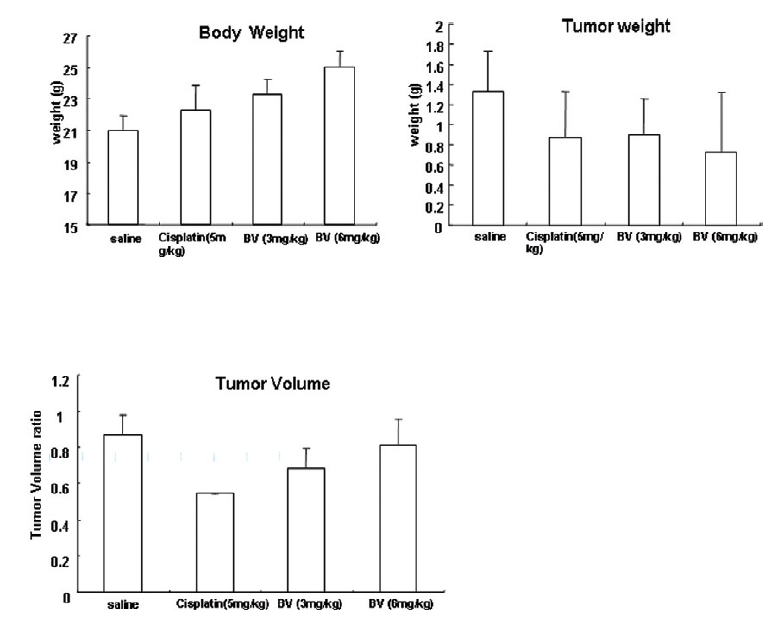 Effect of BV on body weight tumor weight and tumor volume ratio at autopsy