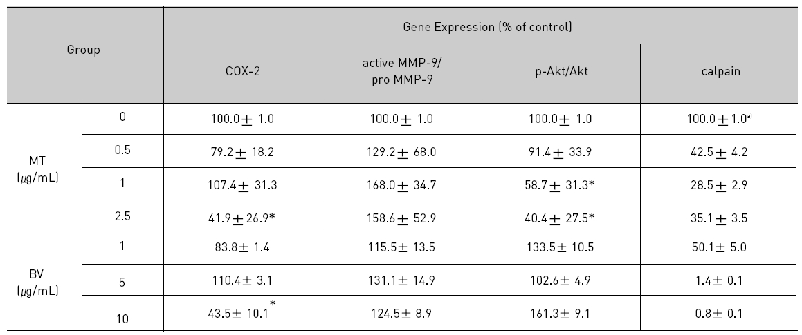 Effect of BV on AR related apoptosis in LNCaP Cells