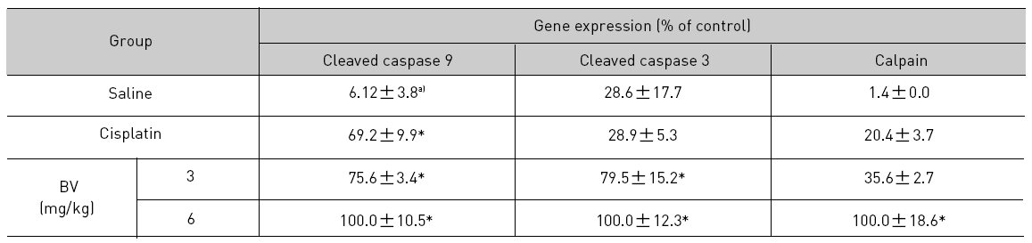 Effect of BV on apoptosis related cysteine proteases in LNCaP xenografts