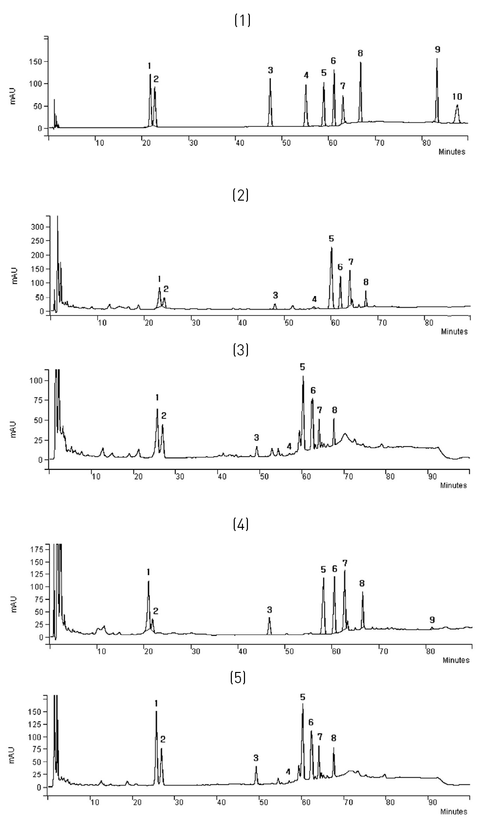 HPLC chromatogram of standard ginsenosides(1).