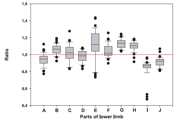 The Ratio among length of each part counted oncun (寸) based on height and length referred toMeasurement of the Bone in Neijing Lingshu (靈樞·骨度篇). A: hip joint to knee joint, B: knee tointto lat. malleolus, C: lat. malleolus to sole of foot,D: upper border of symphysis pubis to upper borderof medial knee joint, E: upper border of medialknee joint to lower border of medial knee joint, F:lower border of medial knee joint to medial malleolus,G: medial malleolus to sole of foot, H: centerof knee joint to top of foot, I: length of foot, J: widthof foot