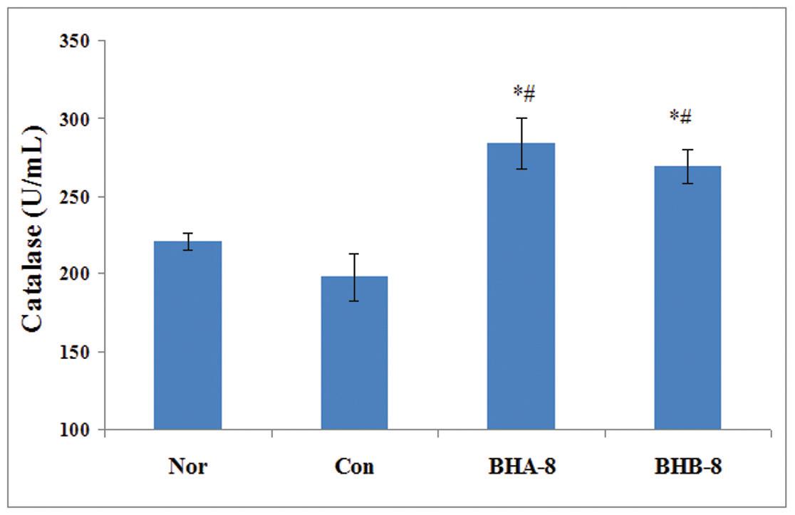 The effects of BH extract on catalase activities in the DENA and CCl4-induced liver injury.