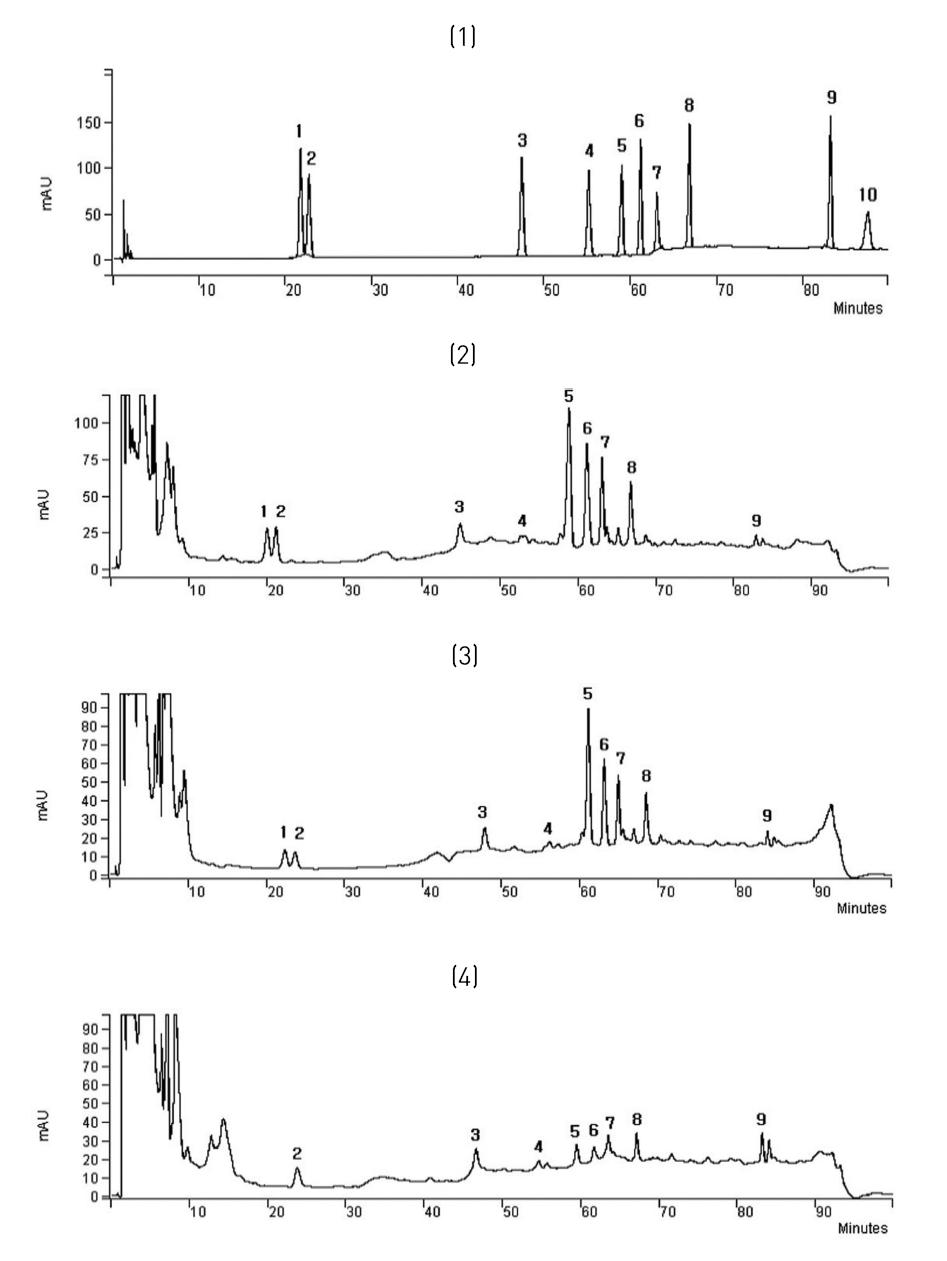 (1) HPLC chromatogram of standard ginsenosides.;