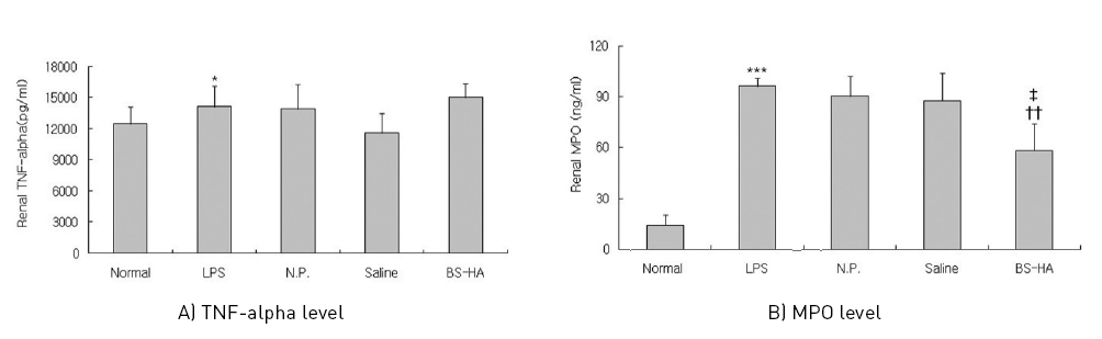 Effects of BS-HA on renal in LPS-stimulated rats..