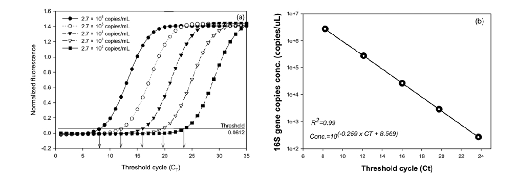 (a) CT determination and (b) standard curves of real-time PCR for detection of bacterial 16S rRNA gene based on the E.coli 16S rRNA gene.
