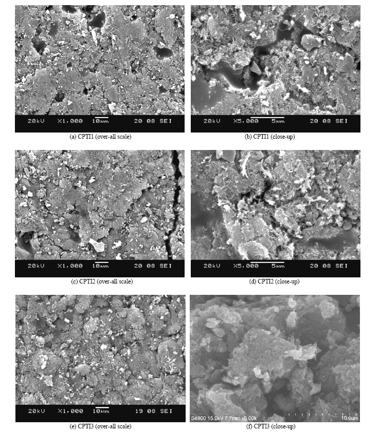 SEM and FE-SEM images obtained from powdered CNT/TiO2