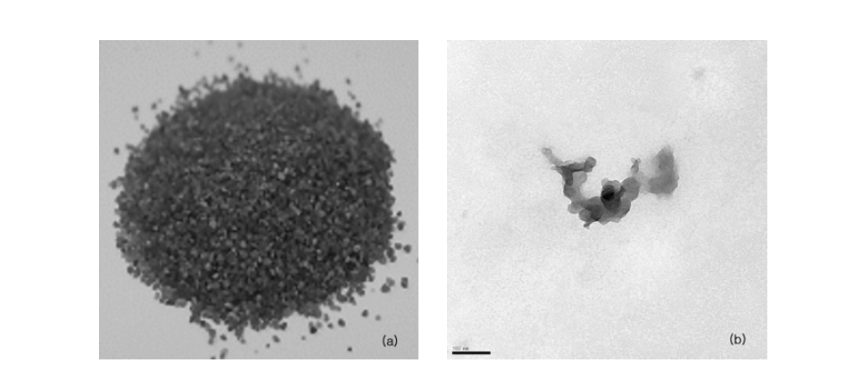 Images of (a) iron-coated sand (photo image) and (b) humic acid (transmission electron microscope image) used in the experiment.