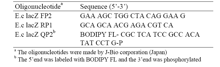 Sequences of oligonucleotide primers and a probe