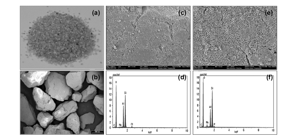 Aluminum (hydr)oxide-coated sand: (a) photo image, (b) SEM image (bar = 50  ㎛), (c) SEM image before phosphate adsorption (bar = 1 ㎛), (d) EDS before  phosphate adsorption, (e) SEM image after phosphate adsorption (bar = 1 ㎛), (f)  EDS after phosphate adsorption.