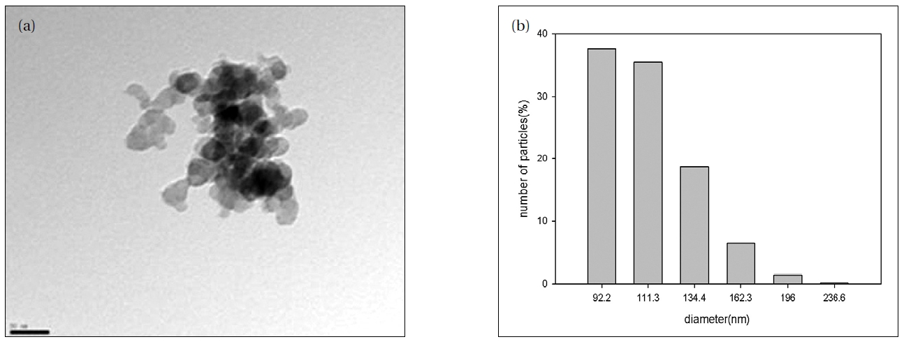 Images of AgNPs in the test media using transmission electron microscopy (a) and dynamic light scattering spectrometers (b).