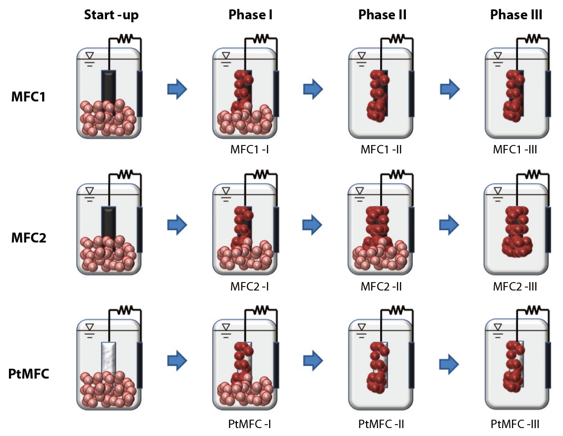 Phases of the operational schemes for the three different microbial fuel cell (MFC) sets. PtMFC: Pt-anode sets of the PtMFC.