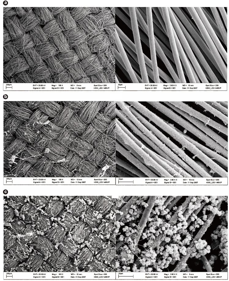 Scanning electron microscopy images of (a) control electrode; (b) the anode from microbial fuel cell (MFC) 1-III; (c) the anode from MFC2-III.