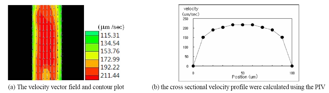 Velocity profiles of the blood flow in the middle of the micro-channel. (a) The velocity vector field and contour plot (b) thecross sectional velocity profile were calculated using PIV.