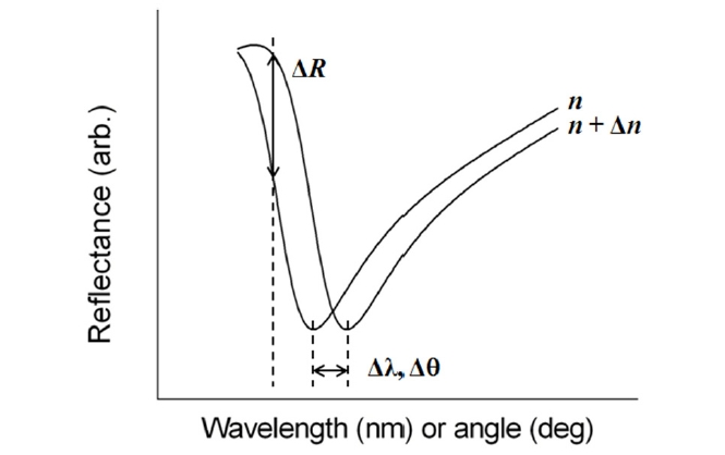 Typical wavelength or angular spectra of a reflection-type SPR biosensor. The refractive index change Δn at the sensor surface leads to the shift in the resonance wavelength Δ λ, resonance angle Δθ, and the change in the amplitude of reflected light ΔR.