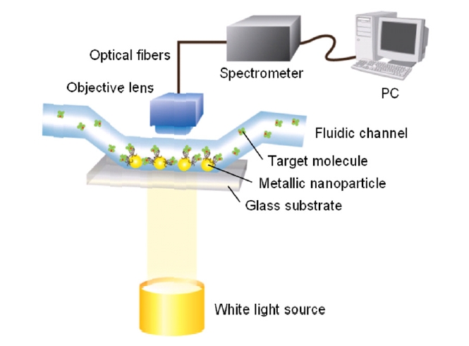 Schematic of an extinction-based transmission-typeLSPR system. Surface-confined metallic nanoparticles arefabricated on a transparent glass substrate in a regular ornon-regular manner. UV-visible extinction measurementsare collected by a conventional microscope objective andfocused onto a fiber-coupled spectrometer. All spectracollected are macroscopic measurements performed instandard transmission geometry using a white light source.The fluidic channel is used to control the external environmentof the metallic nanoparticle-based glass substrates.