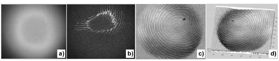 Topographic imaging of plastic fingerprint by low coherence interferography: (a) an interferogram as captured by camera; (b) a coherent interference envelope extracted by phase shifting method; (c) a two-dimensional map of the fingerprint surface topography, with the gray scale representing the height of the surface at each pixel; (d) a 3D perspective rendering of (c). The image volume is 15×12×0.70mm3.