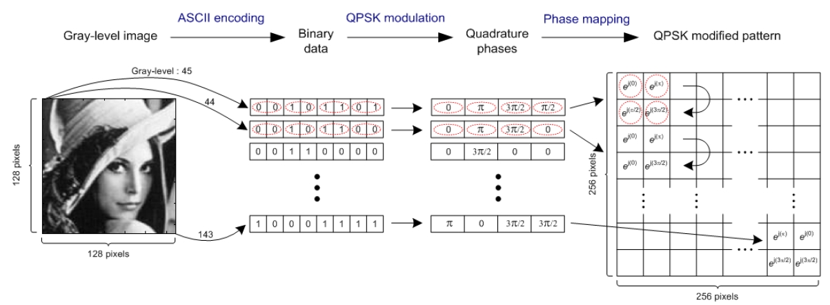 Procedure of ASCII encoding and QPSK modulation for converting a 256 gray-level optical image into phase values.