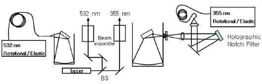 Schematic diagram of the experimental system.