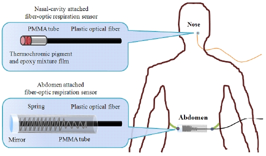 The structures of the nasal-cavity and abdomen attached fiber-optic respiration sensors.