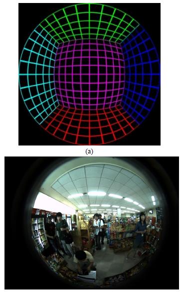 An example of images (a) produced by a computer assuming that a fisheye lens with an equidistance projection scheme has been used to take the picture of an imaginary scene (b) obtained using a fisheye lens having 190º FOV.