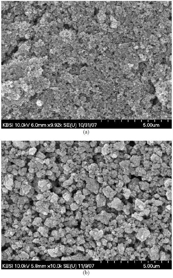 SEM images of photoelectrode: (a) for highest efficiency cell and(b) for lowest efficiency cell.