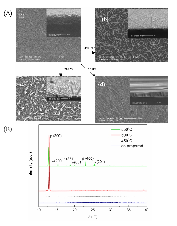 (A) The temperature sensitive crystallization process of vanadium pentoxide  (V2O5): (a) the as?prepared amorphous V2O5 film; (b) annealed at 450℃; (c)  β?V2O5 nanorods formed after annealing at 500℃and (d) flat?lying nanoslices  formed at 550℃. The inserts show the related cross?section morphology for each  sample. (B) X?ray difffraction patterns for the as?prepared and annealed samples.