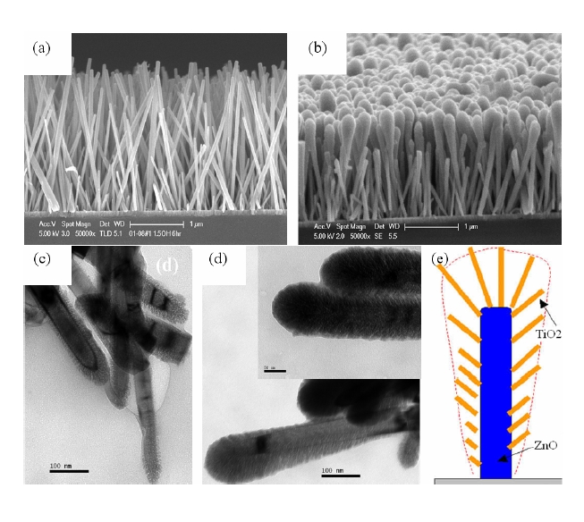(a) Zinc oxide (ZnO) nanorods array before titanium dioxide(TiO2) deposition; (b) ZnO/TiO2 bottlebrush nanostructures after 90min deposition; (c) transmission electron microscopy images ofZnO/TiO2 bottlebrush nanostructures with deposition time of 60 minand 90 min; (d) the insert shows the enlarged image; and (e) schematicsfor the formation of ZnO/TiO2 nanobrush.
