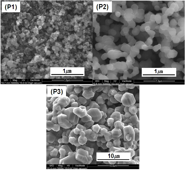 Field emission scanning electron microscopy images of three SiC powders with different particle size.