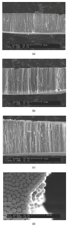 Field emission scanning electron microscopy images of TiO2 nanotube arrays which was fabricated by anodic oxidation of Ti metal; (a) samples anodized for 20 minutes (b) samples anodized for 30 minutes (c) samples anodized for 40 minutes (d) bottom and crosssection images of TiO2 nanotube arrays.