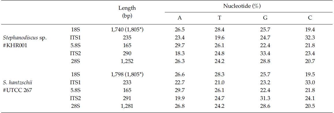 Sequence length and G+C content (%) measured from the Stephanodiscus rDNA determined in the present study