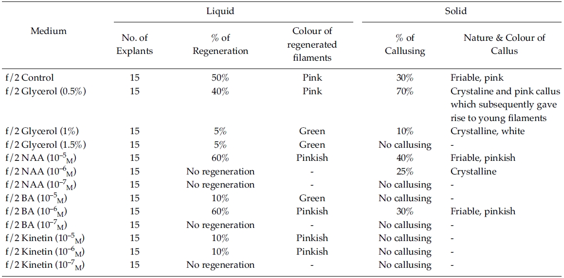 Effect of phytoregulators on explants (f/2 liquid/solid medium)