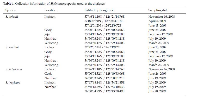 Morphological characteristics of four species in genus Skeletonema in this study and comparison with Sarno et al.’s observation(2005)