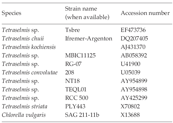 The strains used for the construction of a phylogenetic tree and their GenBank accession numbers of 18S rDNA sequences
