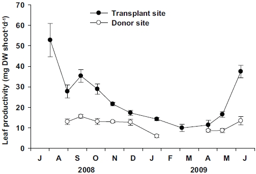 Seasonal variations in the leaf productivity per shoot at the transplant site and the donor site. Error bars represented the standard error of means.