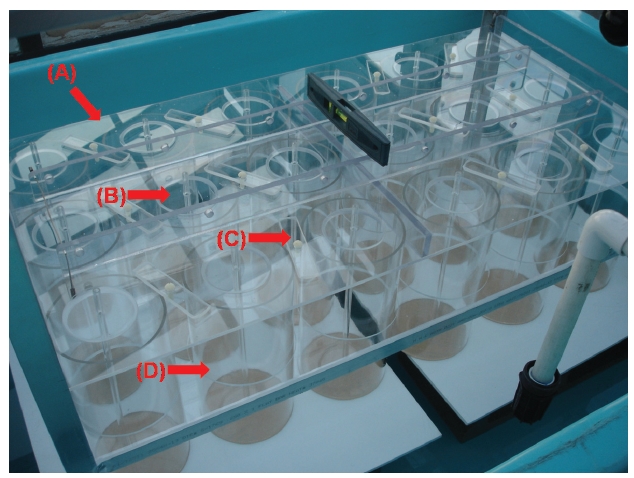 Tide simulating apparatus unit without any airlines. A horizontal plate that covers all 18 culture tanks (A); Lids sit on grooved areas on the horizontal plate (B); a bar on the plate tightly holds the lids (C); 2.5 L culture tank is made of cylindrical colorless Plexiglas (D).
