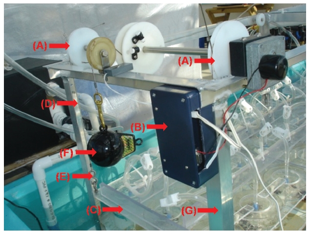Motorized system. Four wheels (A) at each corner are connected to a programmable motor (B) used to raise and lower the horizontal plate (C). A stainless steel cable (D) is connected to each corner of the horizonatal plate by a hook (E) to avoid bending. A weight (F) helps to hold the horizontal plate in position. The frame of the apparatus (G) is made of aluminum that allows the motor, strings and aeration valves to be attached.