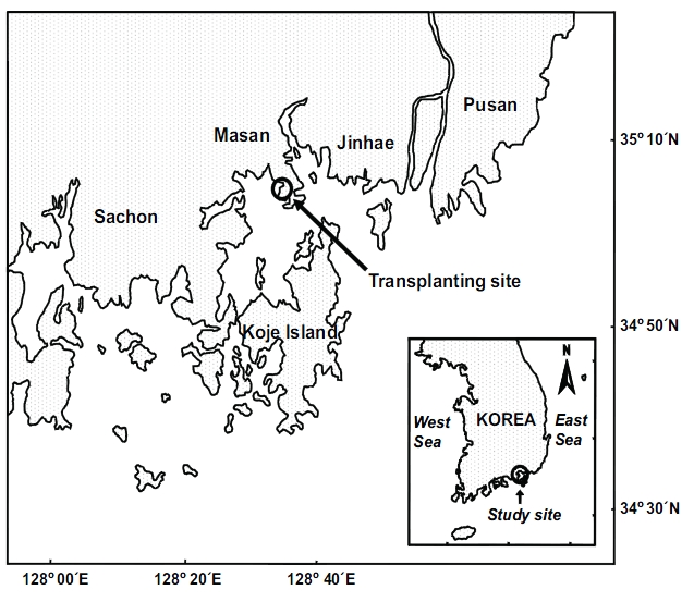 Map of the transplanting site on the south coast of Korea.