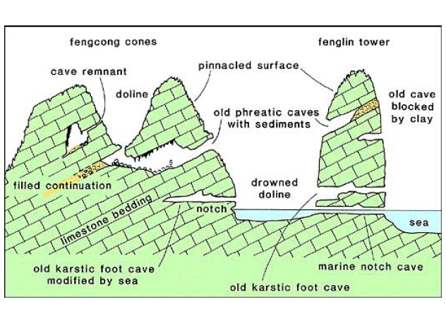Types of topography and karst caves in Cat Ba ? Halongarea.