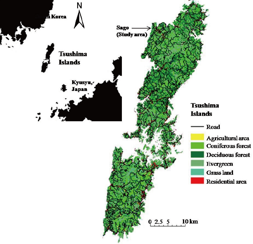 Location and vegetation map of the Tsushima Islands. The vegetation map was created from "The 6th National survey on the natural environment, Vegetation Survey Biodiversity Center, Nature Conservation Bureau, Ministry of the Environment".