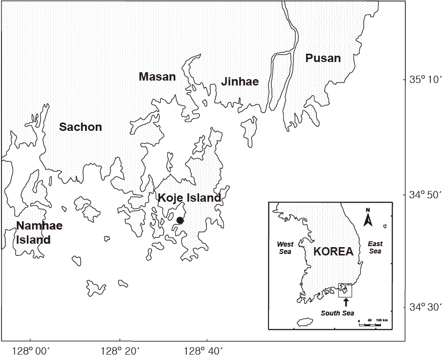 Study site in Koje Bay on the southern coast of the Korean peninsula.