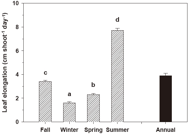 Seasonal and annual estimate of Zostera marina leaf elongation (cm shoot-1 day-1) in Koje Bay. Values with the same letter are not significantly different among seasons. Values are means ± SE (n = 30-35).