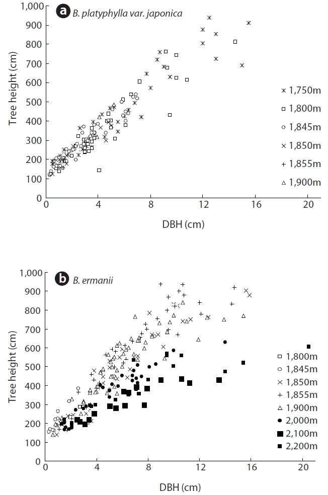 Relationship between tree height and diameter at breast height (DBH) of Betula ermanii (a) and Betula platyphylla var. japonica at different elevations.