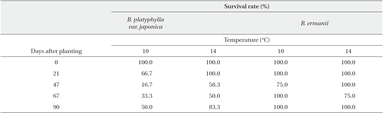 Survival rate (%) of seedlings of Betula platyphylla var. japonica and Betula ermanii at temperatures of 10℃ and 14℃ in the labotratory