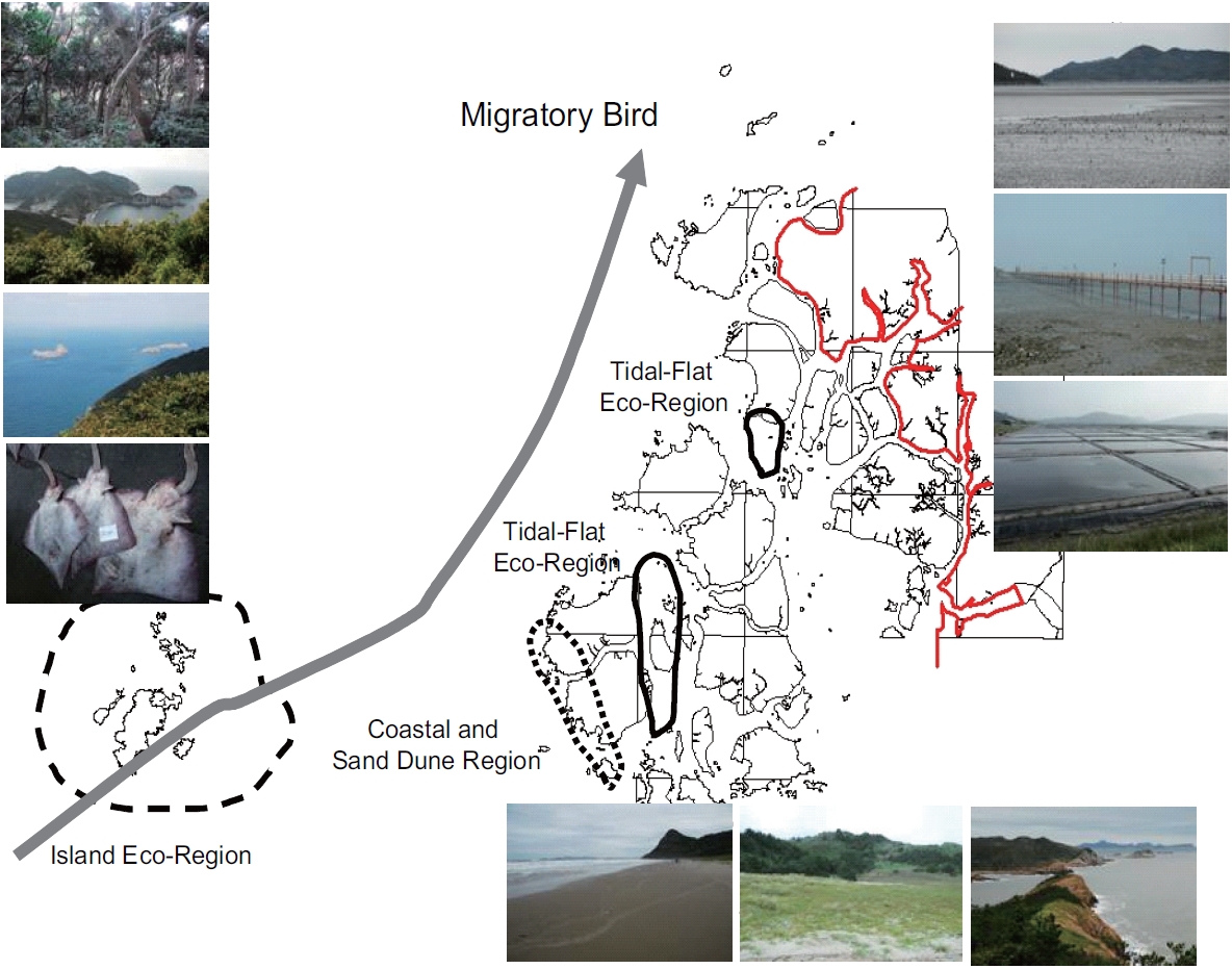 Representative migratory birds and their main route in Shinan Dadohae Biosphere Reserve