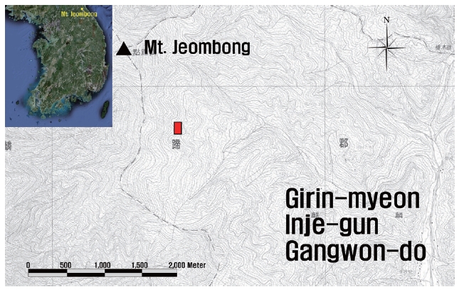 Layout of the permanent plot (square) established in a Quercus mongolica community for this study in Mt. Jeombong, Korea