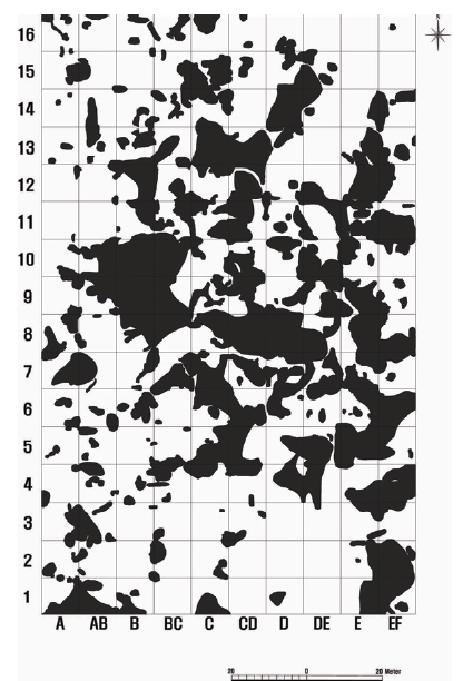 Distribution of traces by wild boars’ disturbance in 1.6 ha plot from April in 2008 to April 2009.