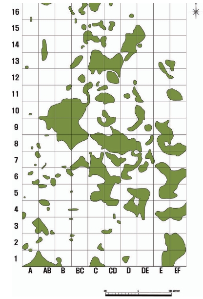 Distribution of traces by wild boars’ disturbance in 1.6 ha plot from October in 2008 to April in 2009.