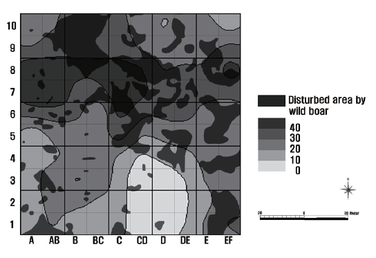 Distribution of disturbed traces by wild boar from October 2008 to April 2009, and spatial distribution of the coverage (%) of Erythronium japonicum in 2005 in the 1.0 ha permanent plot (Hong 2005).