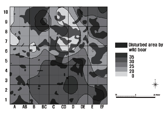 Distribution of disturbed traces by wild boar from October 2008 to April 2009, and spatial distribution of slope degree (o) in the 1.0 ha permanent plot (Hong 2005).